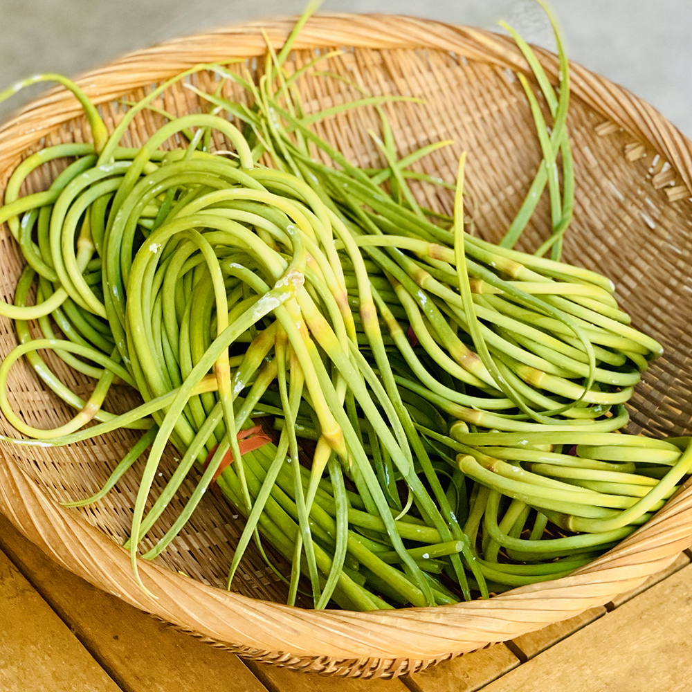 Garlic Scapes – Coming Soon!